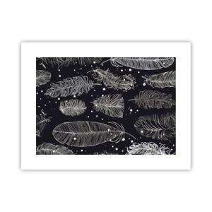 Póster - Encaje de plumas - 40x30 cm