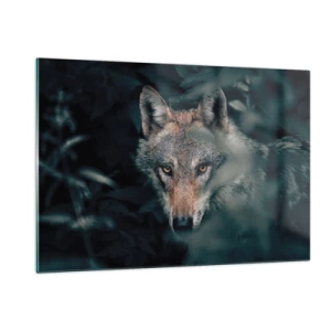 Cuadro sobre vidrio - Impresiones sobre Vidrio - Un lobo observa atentamente desde su escondite en la espesura del bosque. - 120x80cm - Cazador - Decoración de pared moderna para salón y dormitorio ARTTOR