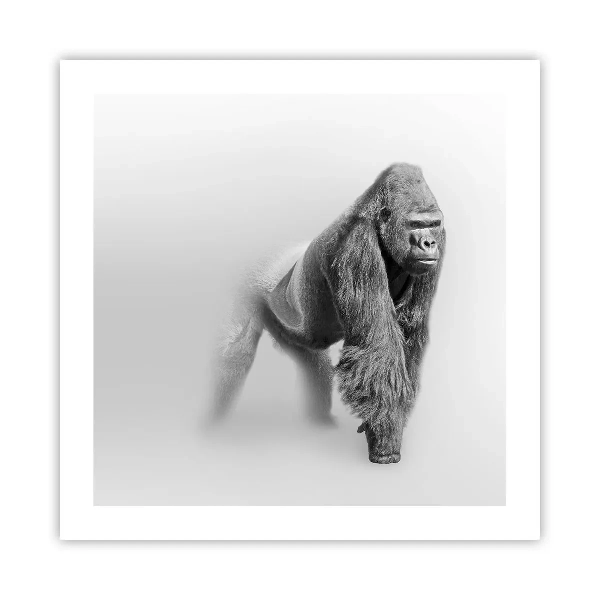 Póster - Confiando en su fuerza - 50x50 cm