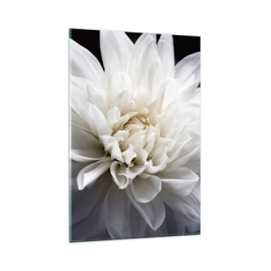 Cuadro sobre vidrio - Impresiones sobre Vidrio - Una delicada flor blanca sobre un fondo negro en una elegante composición. - 80x120cm - La novia de la mañana - Decoración de pared moderna para salón y dormitorio ARTTOR