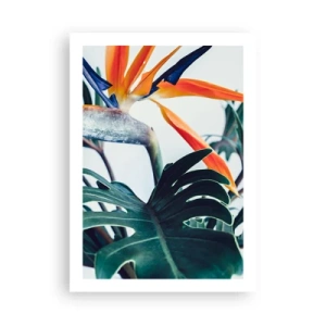 Póster - Primer plano de una flor de strelitzia rodeada de hojas verdes. - 50x70cm - La jaula del pájaro colorido - Decoración de pared moderna para salón y dormitorio ARTTOR