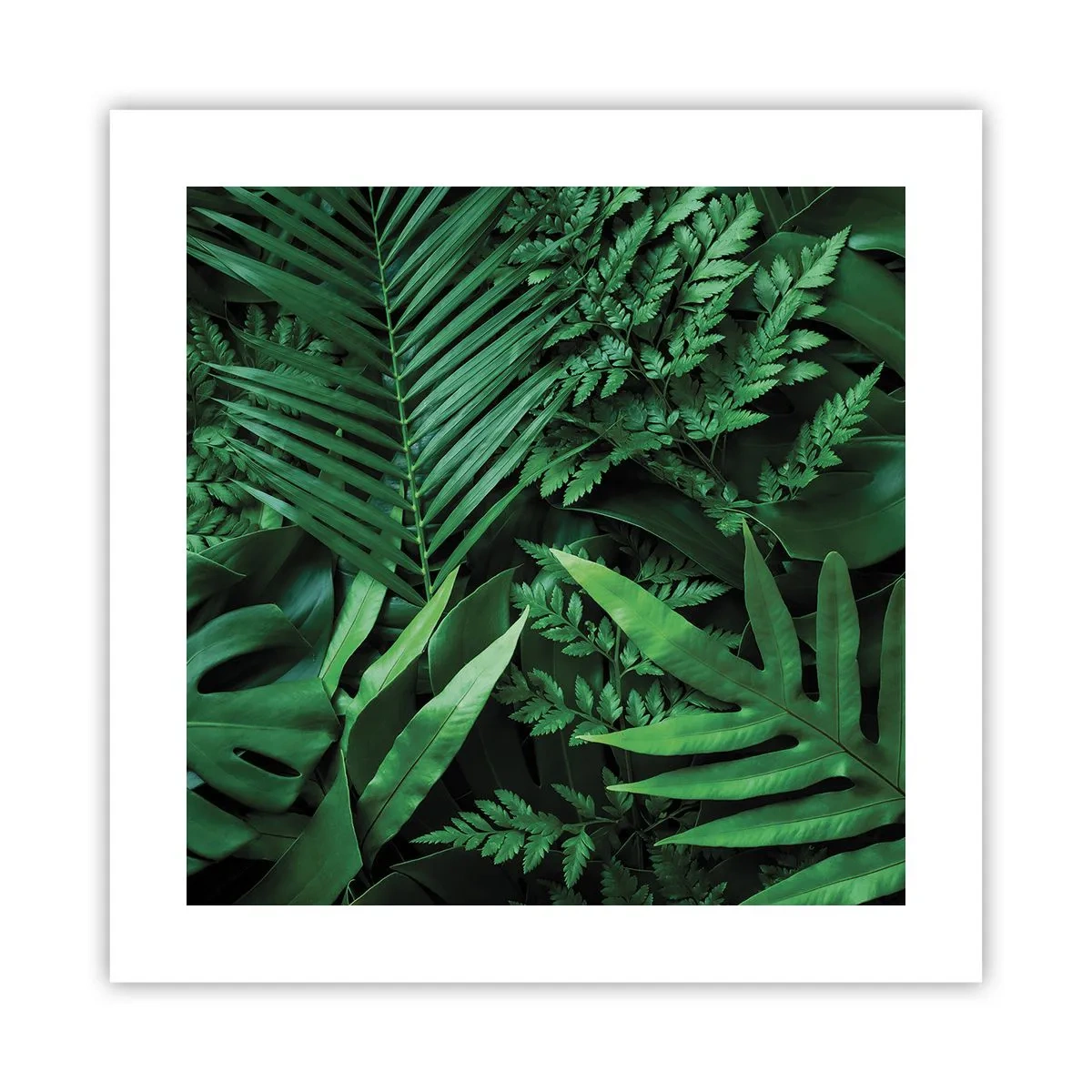 Póster - Abrazo verde - 40x40 cm