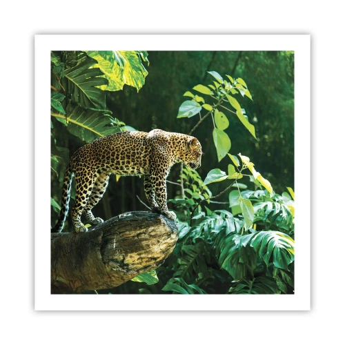 Póster - ¿A la caza? - 60x60 cm