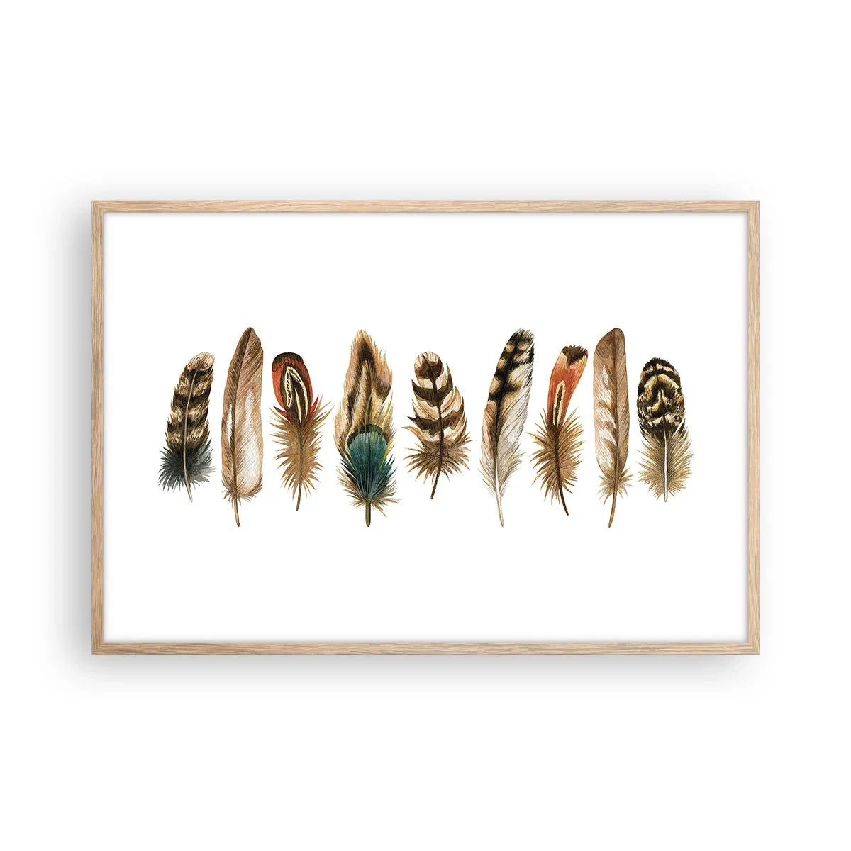 Póster en marco roble claro - Estudio de plumas - 91x61 cm