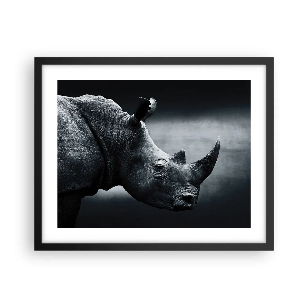 Póster en marco negro - Perfil derecho - 50x40 cm