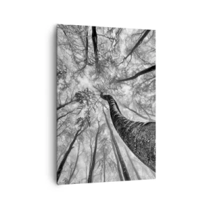 Cuadro sobre lienzo - Impresión de Imagen - Perspectiva de árboles en un bosque vistos desde abajo en tonos de gris. - 70x100cm - Carrera hacia la luz - Decoración de pared moderna para salón y dormitorio ARTTOR