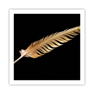 Póster - Pluma de alta calidad - 60x60 cm