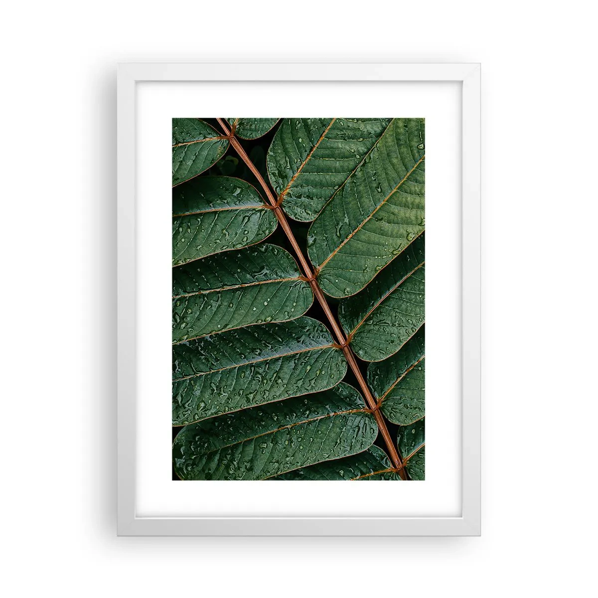 Póster en marco blanco - En un ritmo verde - 30x40 cm