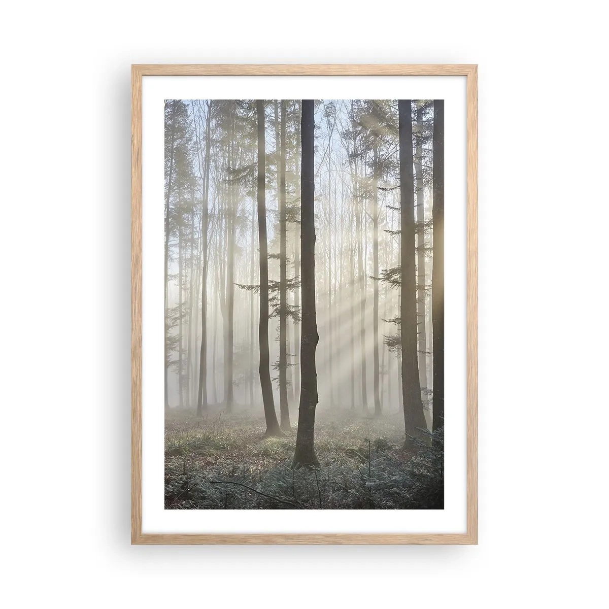 Póster en marco roble claro - La niebla también está despierta - 50x70 cm
