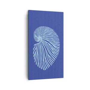 Cuadro sobre lienzo - Impresión de Imagen - Nacimiento de una concha - 45x80 cm