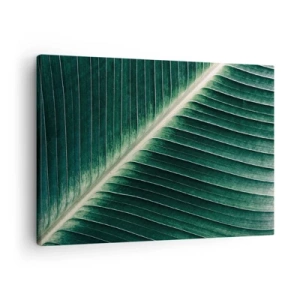 Cuadro sobre lienzo - Impresión de Imagen - Primer plano de la estructura de una hoja verde. - 70x50cm - El ritmo de la naturaleza - Decoración de pared moderna para salón y dormitorio ARTTOR