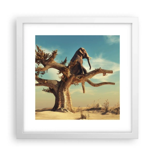 Póster en marco blanco - Un nuevo punto de vista - 30x30 cm