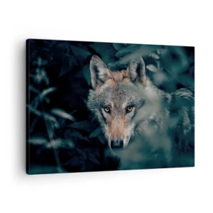 Cuadro sobre lienzo - Impresión de Imagen - Un lobo en su entorno natural, mirando desde las profundidades del bosque. - 70x50cm - Cazador - Decoración de pared moderna para salón y dormitorio ARTTOR