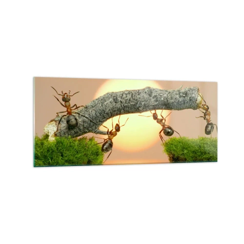Cuadro sobre vidrio - Impresiones sobre Vidrio - Hormigas construyendo un puente de ramas con el sol poniente como telón de fondo. - 120x50cm - Trabajar juntos con alegría - Decoración de pared moderna para salón y dormitorio ARTTOR