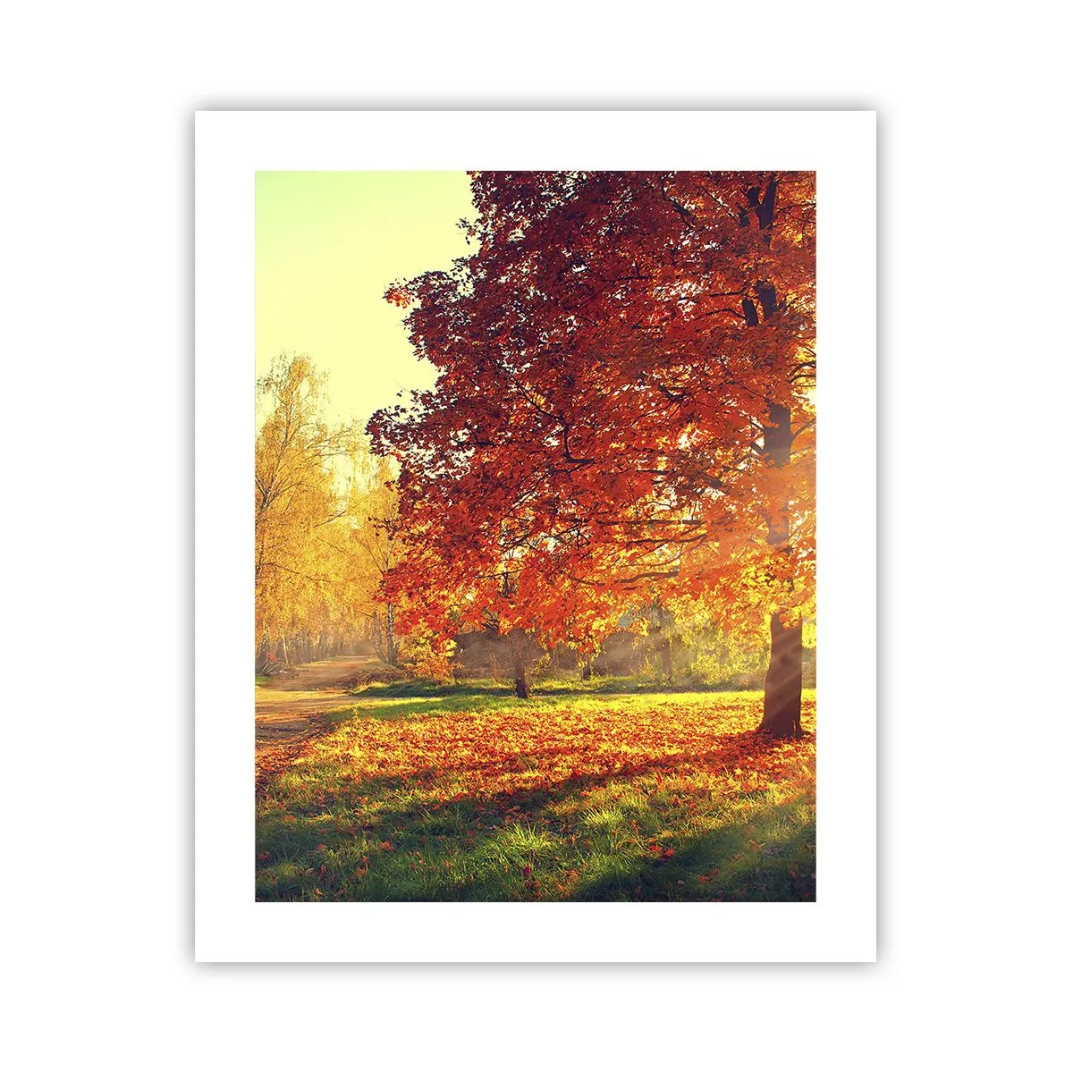 Póster - El rojo es hermoso - 40x50 cm