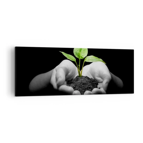 Cuadro sobre lienzo - Impresión de Imagen - Manos sosteniendo una planta verde sobre un fondo negro - 140x50cm - Amo la naturaleza, la protejo - Decoración de pared moderna para salón y dormitorio ARTTOR