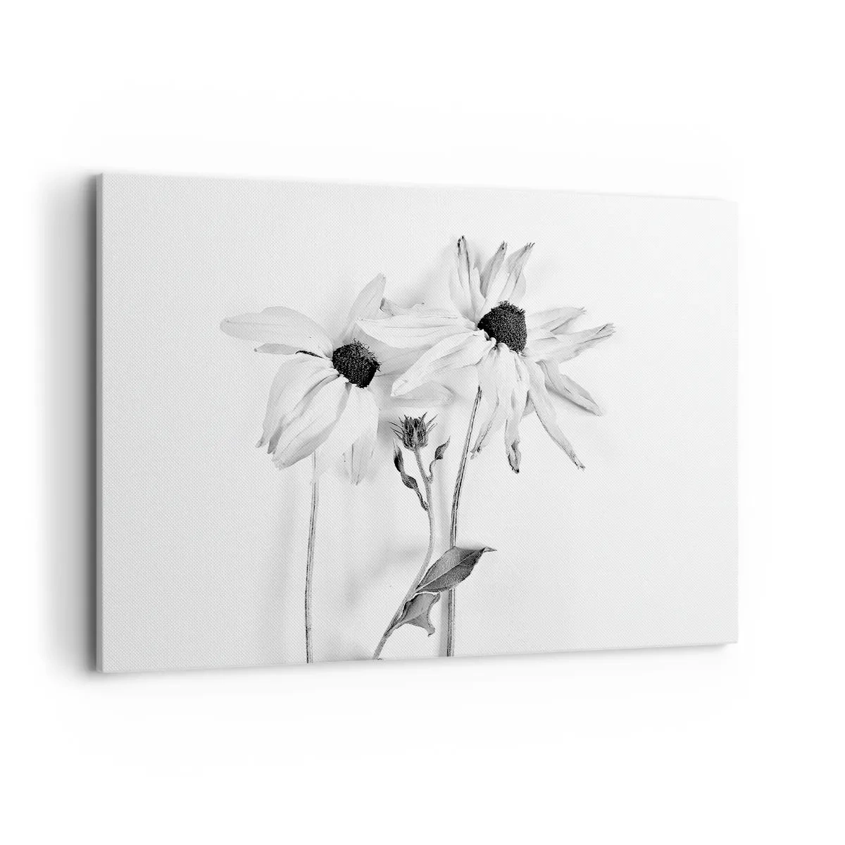 Cuadro sobre lienzo - Impresión de Imagen - Flores en blanco y negro con una composición sutil. - 100x70cm - Nadie quiere estar solo - Decoración de pared moderna para salón y dormitorio ARTTOR