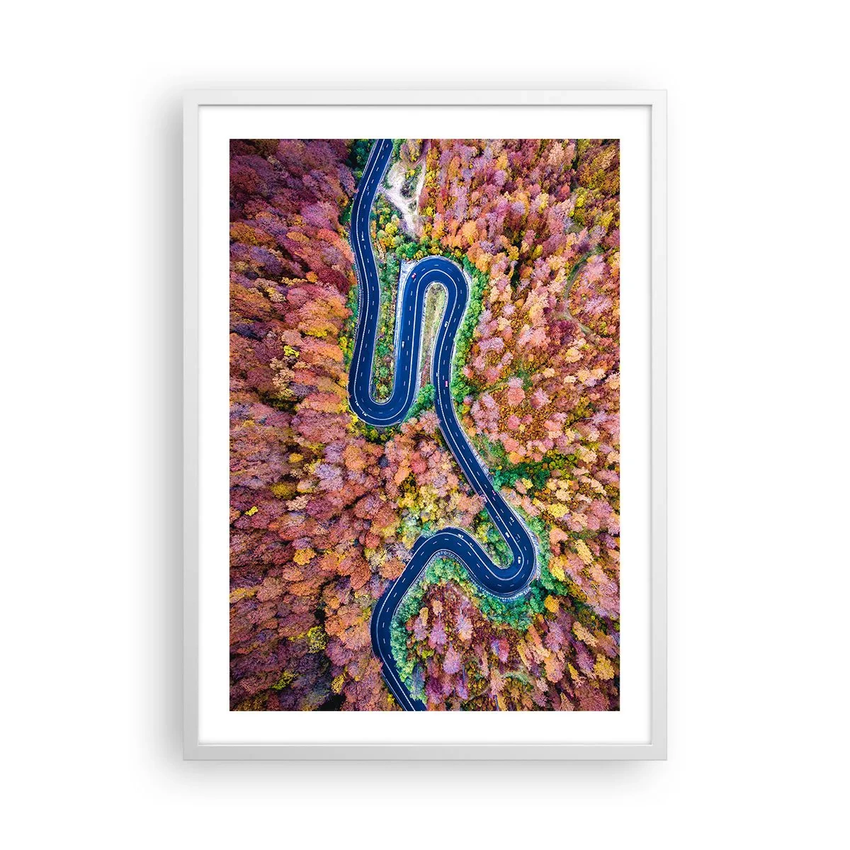 Póster en marco blanco - Un camino sinuoso a través del bosque - 50x70 cm
