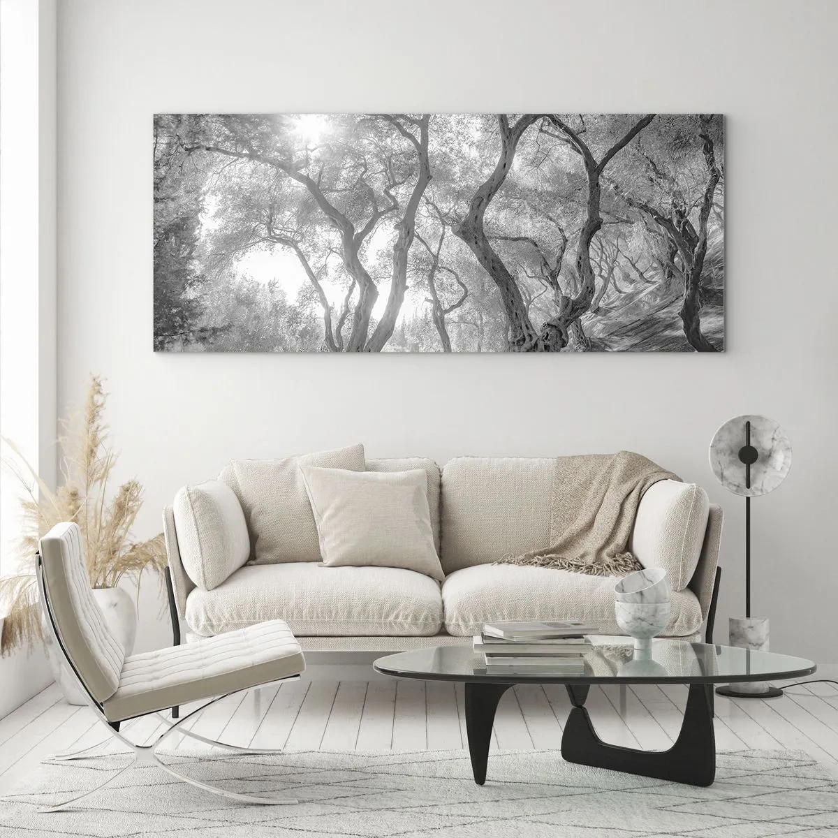 Cuadro sobre vidrio - Impresiones sobre Vidrio - Vista en blanco y negro de árboles en un olivar con rayos de sol. - 120x50cm - En un olivar - Decoración de pared moderna para salón y dormitorio ARTTOR