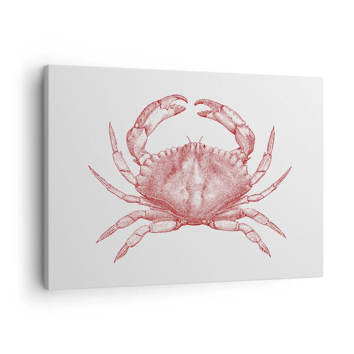 Cuadro sobre lienzo - Impresión de Imagen - Dibujo de un cangrejo en tono rojo. - 70x50cm - El explorador de las rocas - Decoración de pared moderna para salón y dormitorio ARTTOR