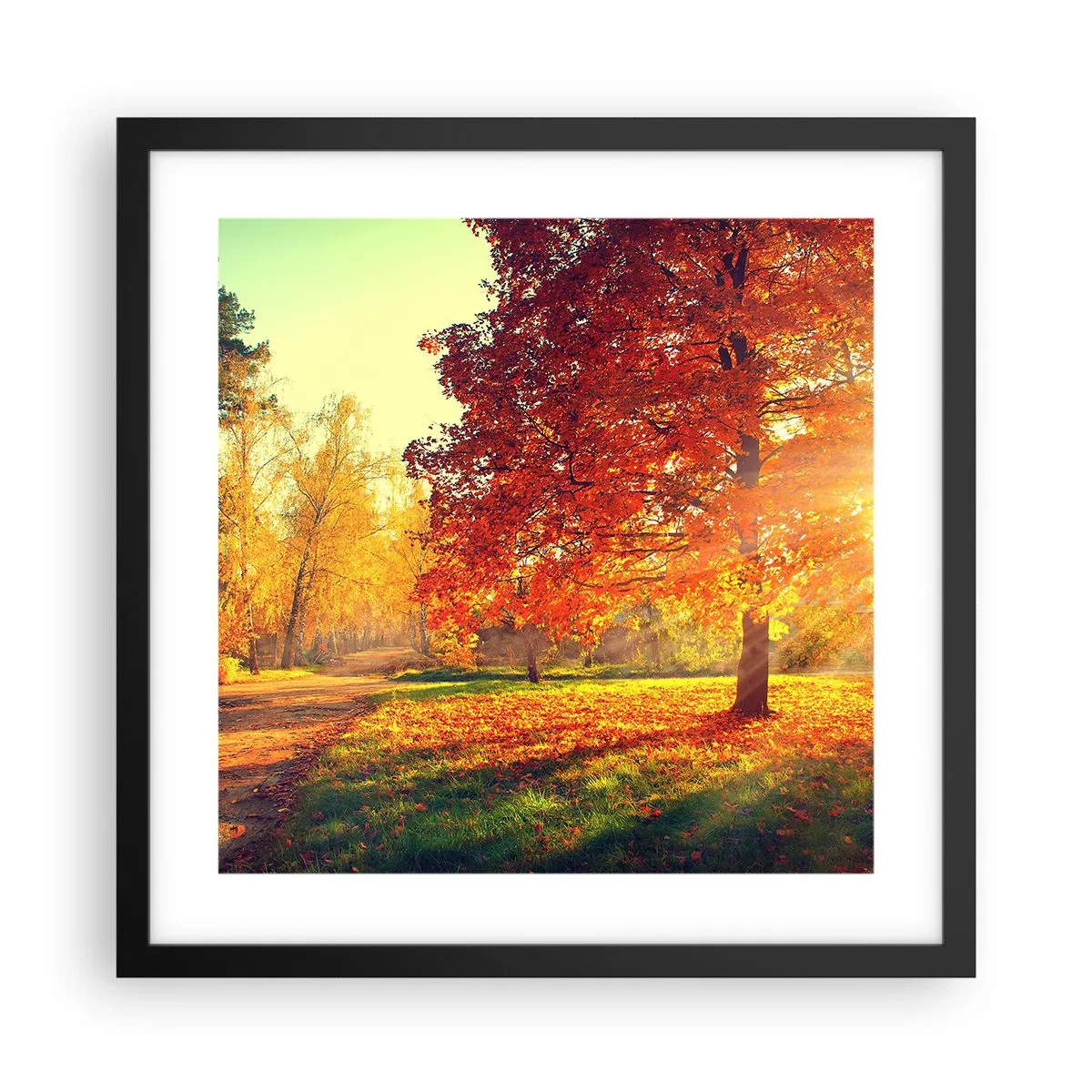 Póster en marco negro - El rojo es hermoso - 40x40 cm