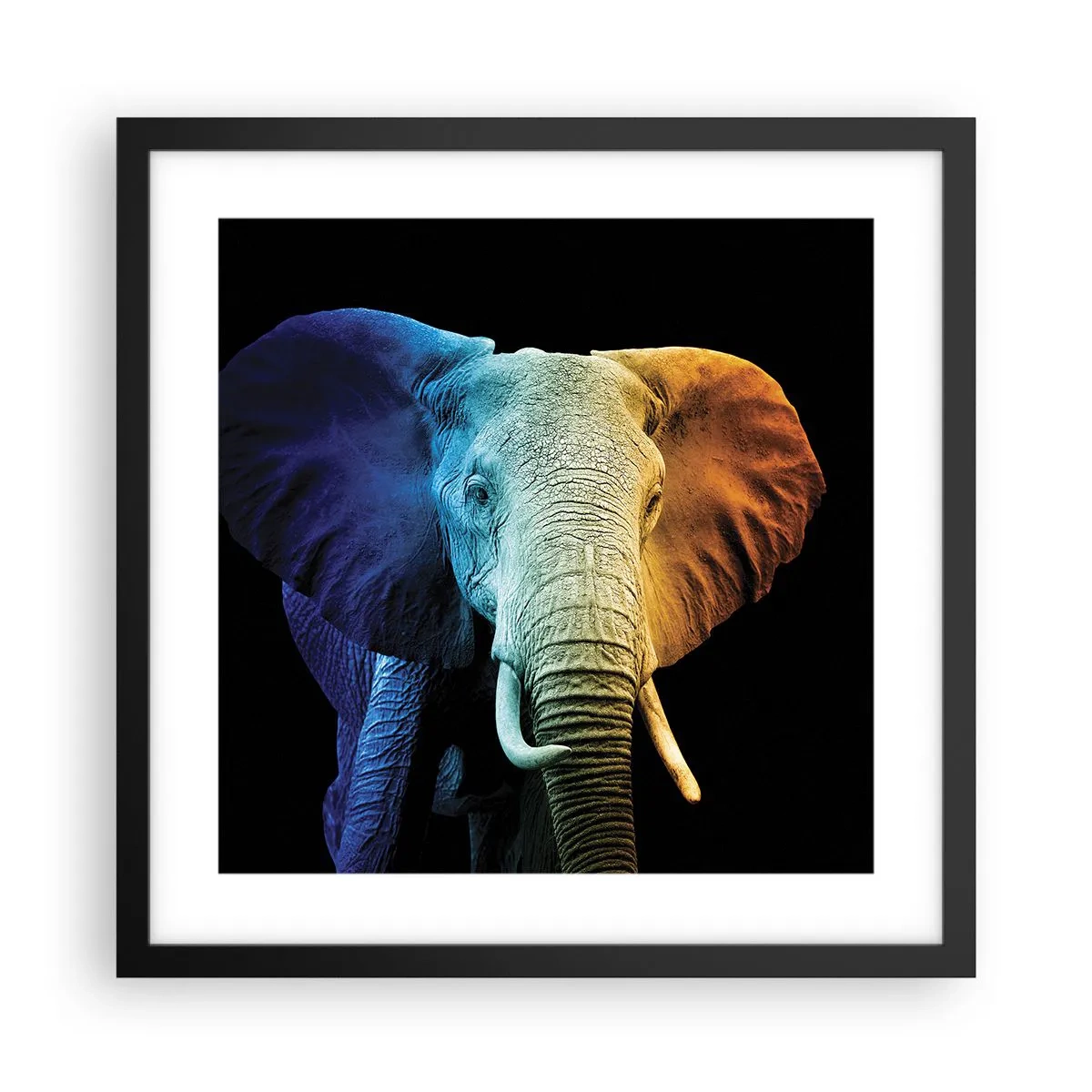 Póster en marco negro - Excéntrico, no un bicho raro - 40x40 cm