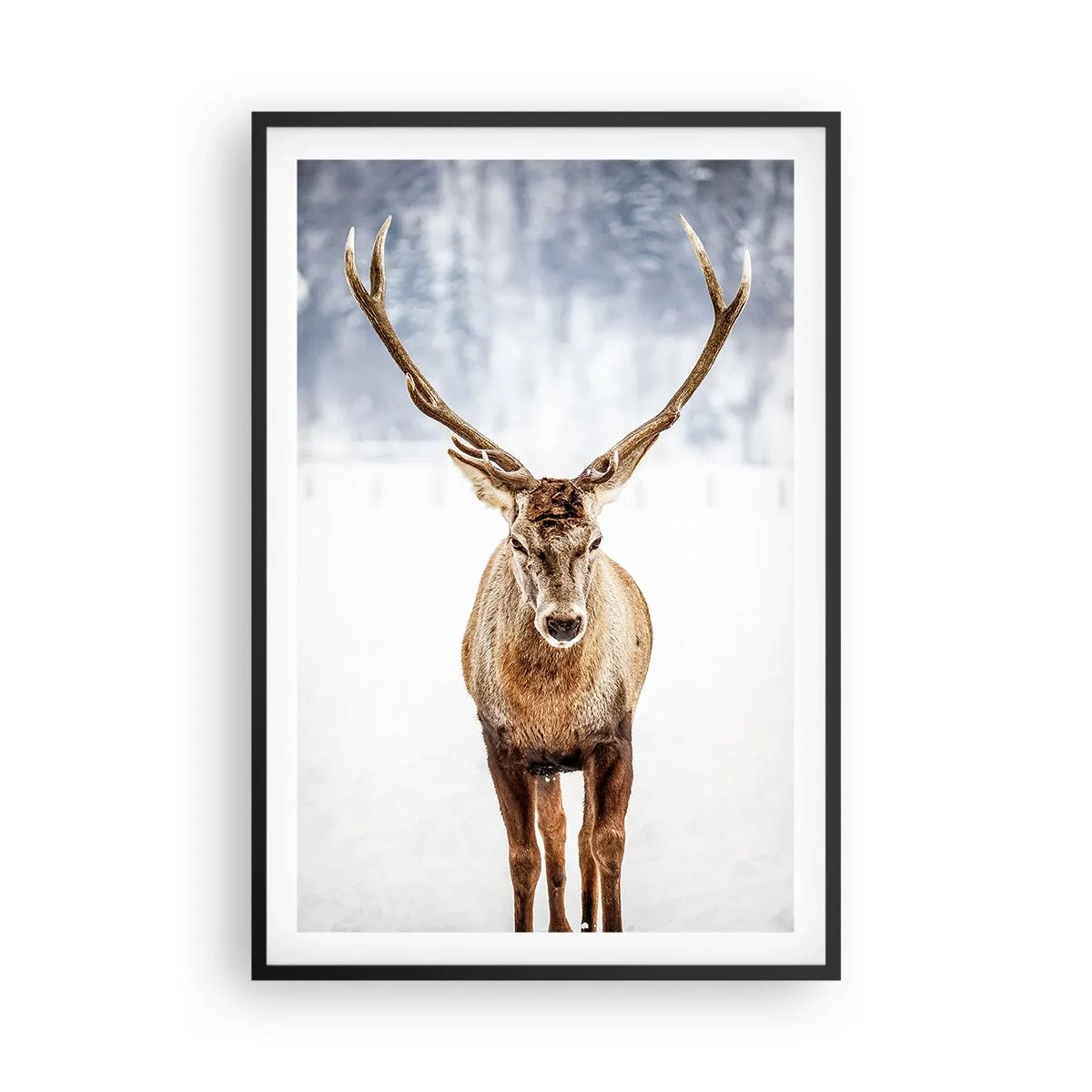 Póster en marco negro - Directamente desde la niebla de nieve - 61x91 cm