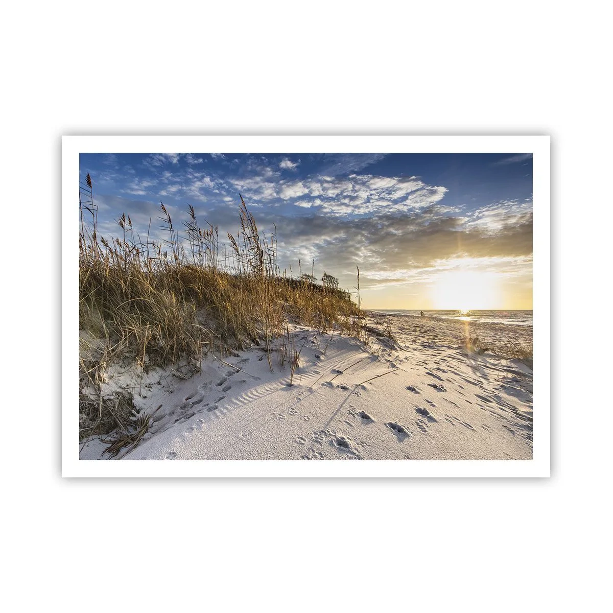 Póster - Dunas con hierba y huellas en la arena al atardecer - 100x70cm - Invitación a un paseo - Decoración de pared moderna para salón y dormitorio ARTTOR