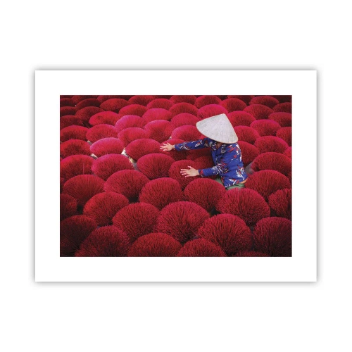 Póster - En un campo de arroz - 40x30 cm