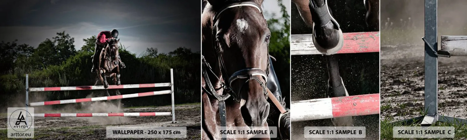 Muestra De Fotomural Standard Eco - Juntos por la victoria - animales, Caballo, Deporte - 100x30 cm