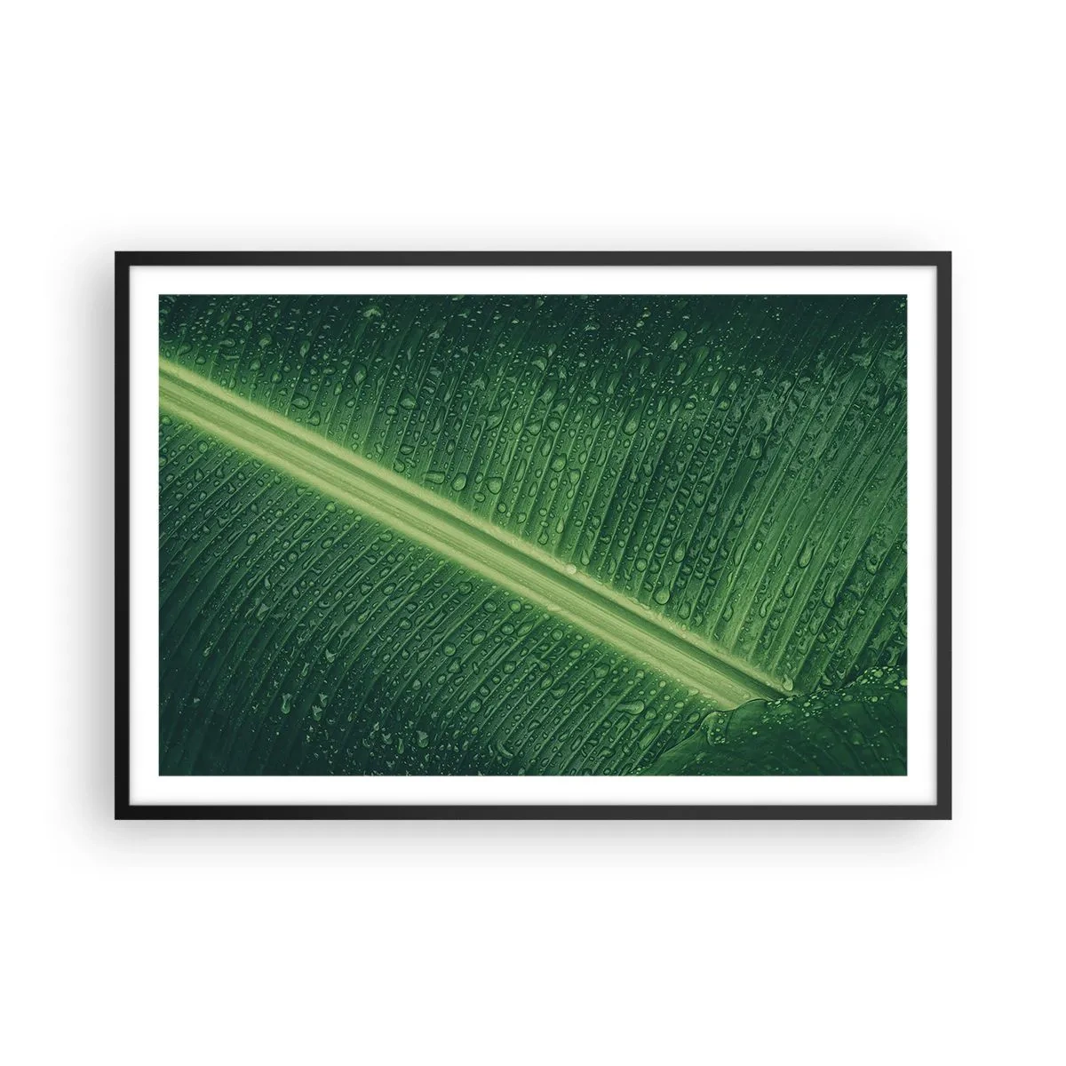 Póster en marco negro - Estructura del verde - 91x61 cm