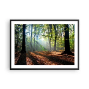 Póster en marco negro - Un claro del bosque iluminado por los rayos del sol. - 70x50cm - Resplandores y sombras - Decoración de pared moderna para salón y dormitorio ARTTOR
