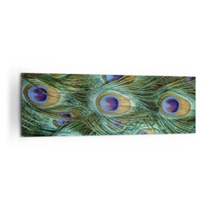 Cuadro sobre lienzo - Impresión de Imagen - Detalles de plumas de pavo real en ricos colores. - 160x50cm - Mirada de pavo real - Decoración de pared moderna para salón y dormitorio ARTTOR