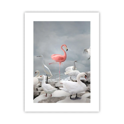 Póster - ¿De dónde vengo? - 30x40 cm