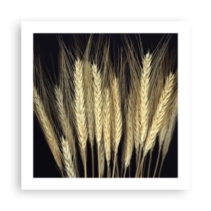 Póster - Magia rústica - 50x50 cm