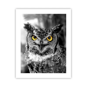 Póster - Nada se puede ocultar - 40x50 cm