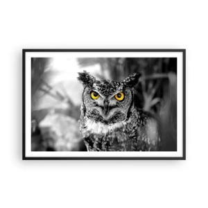 Póster en marco negro - Nada se puede ocultar - 91x61 cm