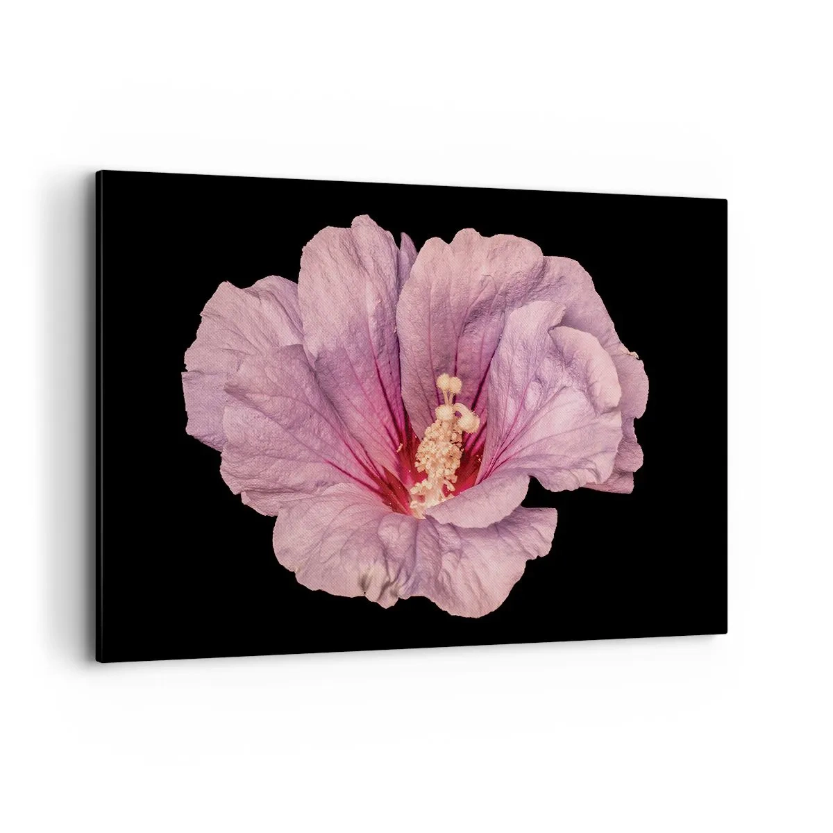 Cuadro sobre lienzo - Impresión de Imagen - Flor rosa sobre fondo negro - 120x80cm - Directo al corazón - Decoración de pared moderna para salón y dormitorio ARTTOR