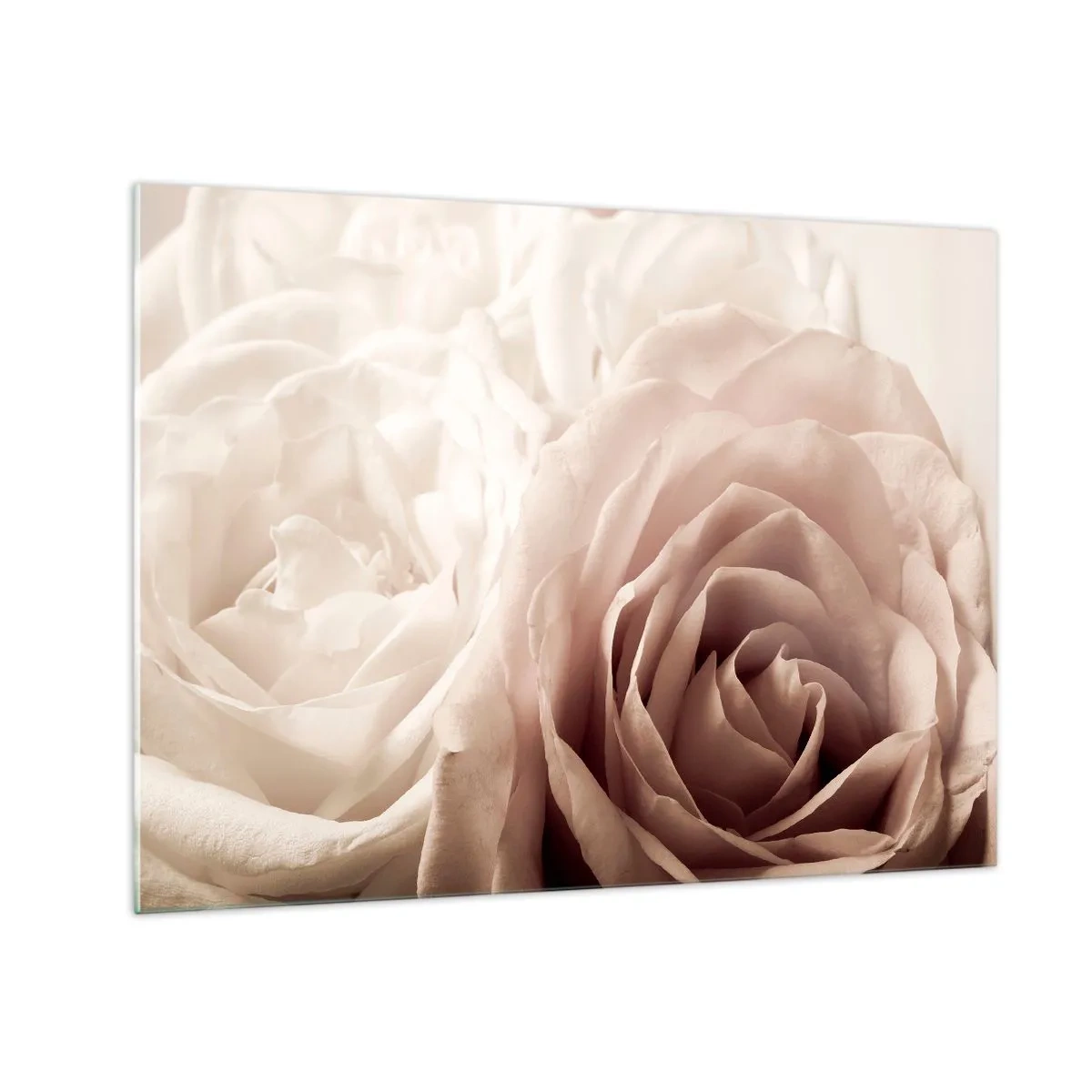 Cuadro sobre vidrio - Impresiones sobre Vidrio - Delicadas rosas claras en un primer plano romántico. - 70x50cm - En el corazón de una rosa - Decoración de pared moderna para salón y dormitorio ARTTOR