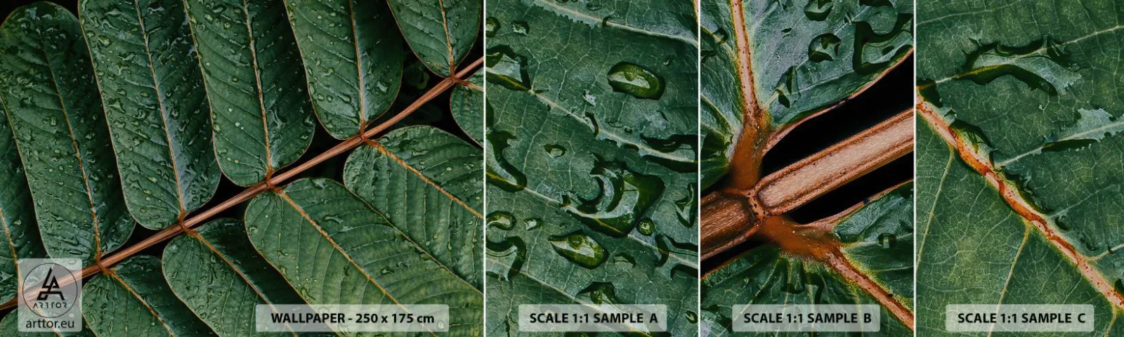 Muestra de fotomural autoadhesivo Deluxe Sticker - En un ritmo verde - Hojas verdes, planta tropical, Pedazo - 100x30 cm