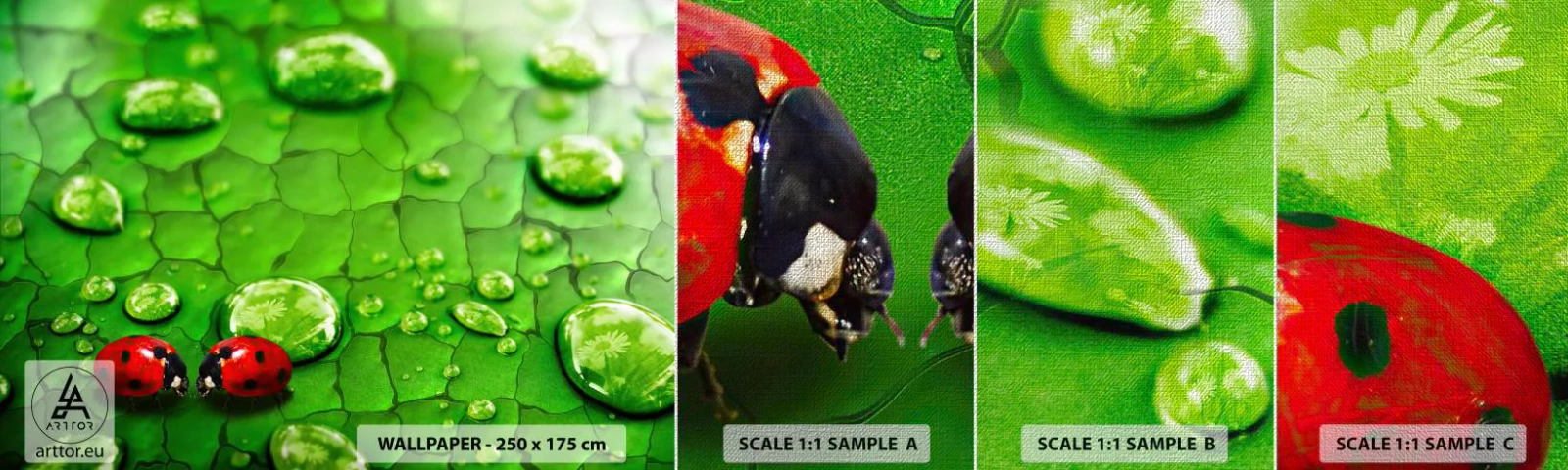 Muestra de fotomural Premium Canvas - Reunión sobre verde - Naturaleza, Mariquita, Una gota de agua - 100x30 cm