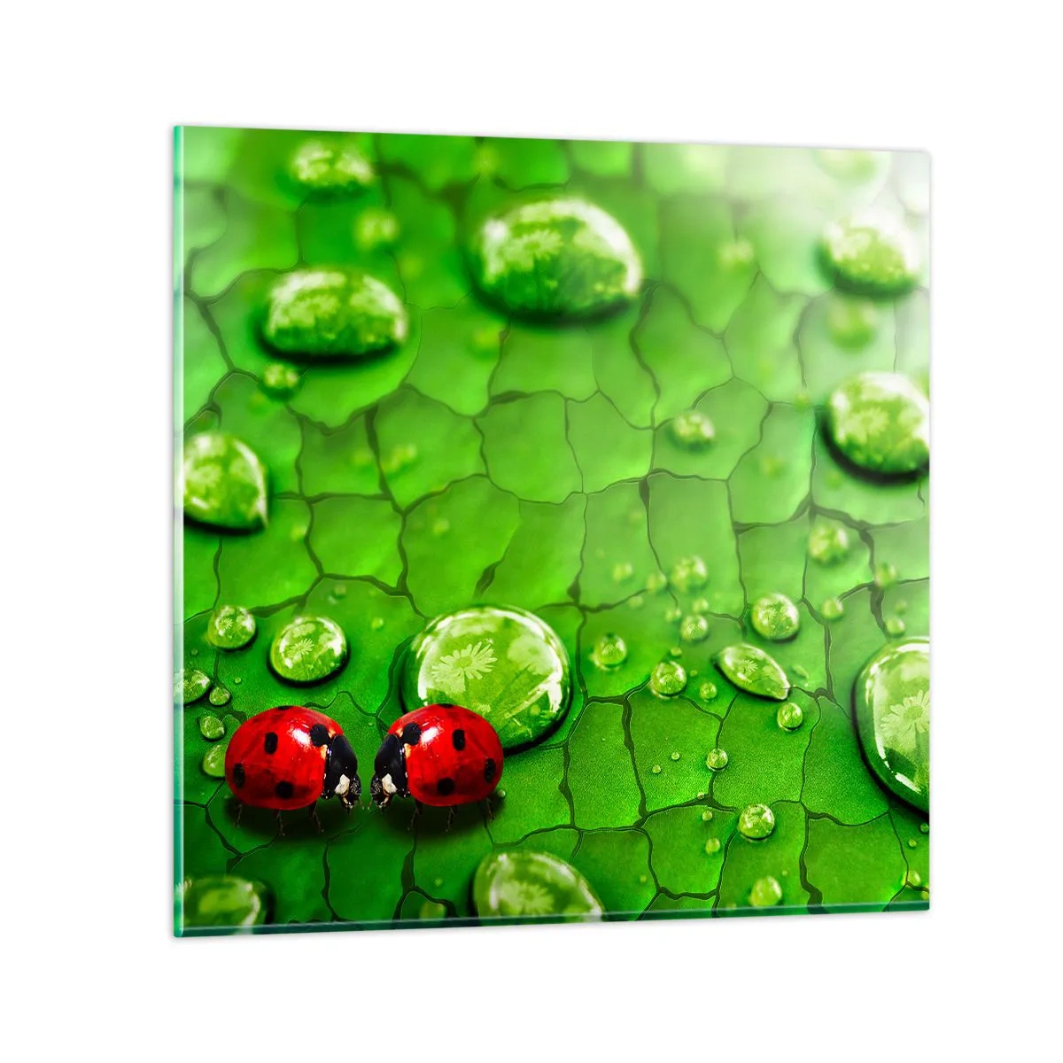 Cuadro sobre vidrio - Impresiones sobre Vidrio - Reunión sobre verde - 30x30 cm