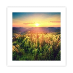 Póster - Desde lo alto - 40x40 cm