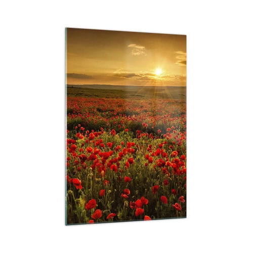 Cuadro sobre vidrio - Impresiones sobre Vidrio - Un campo de amapolas rojas bajo el resplandor del sol poniente. - 70x100cm - Entre los campos de flores - Decoración de pared moderna para salón y dormitorio ARTTOR