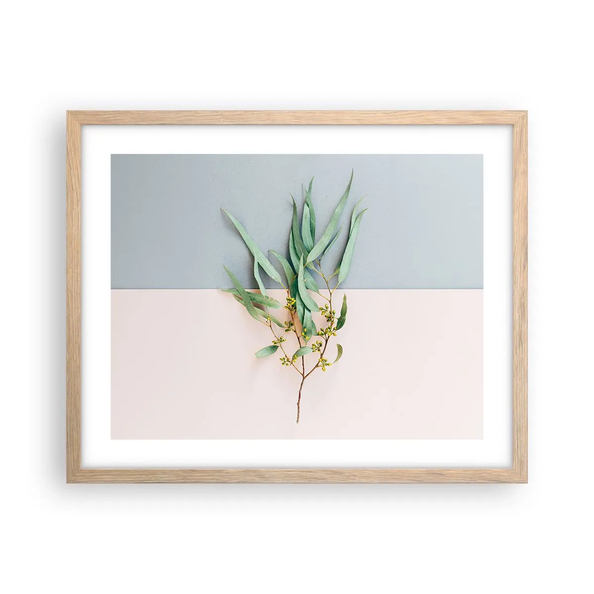 Póster en marco roble claro - La sutileza del pastel - 50x40 cm
