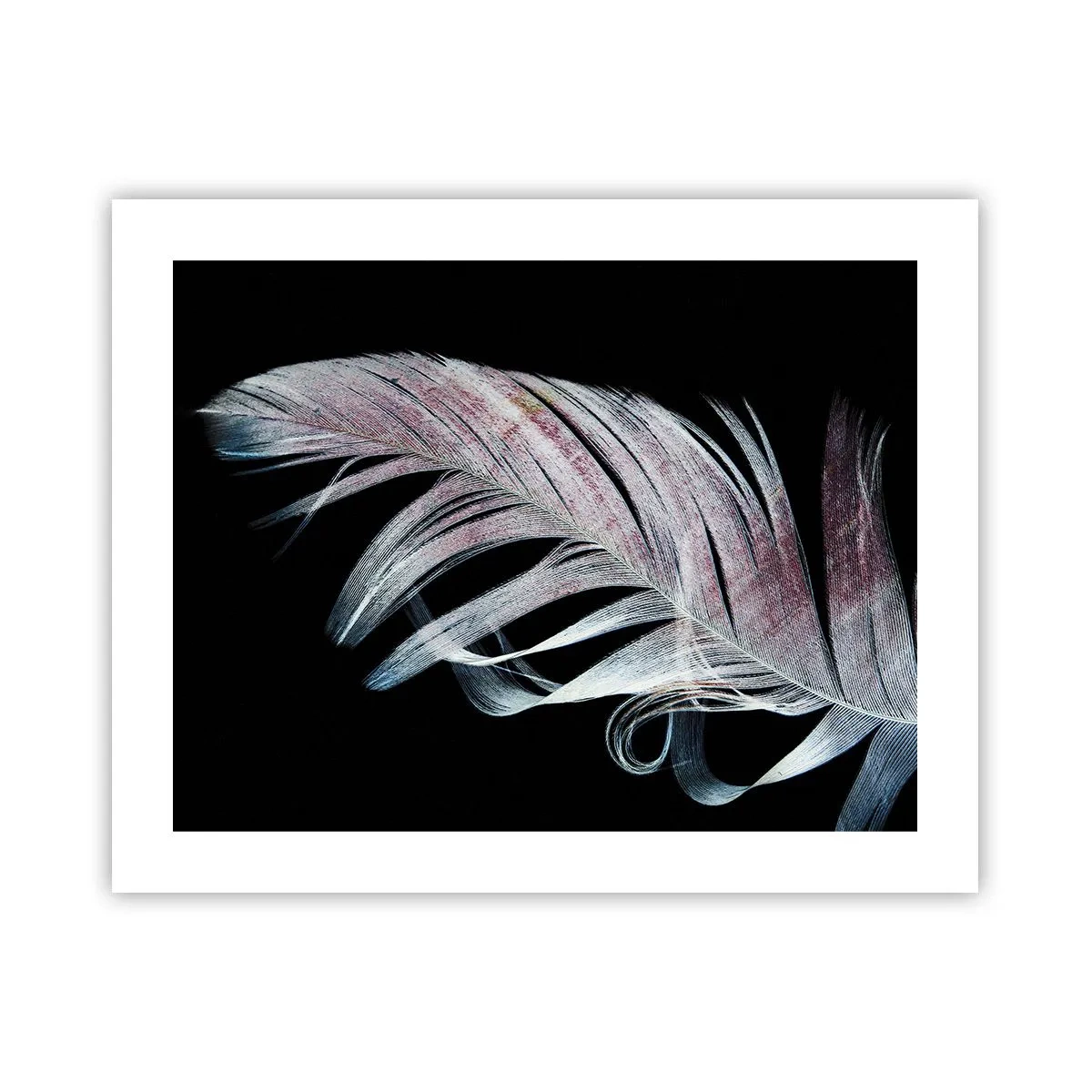 Póster - Piensa en el tacto - 50x40 cm