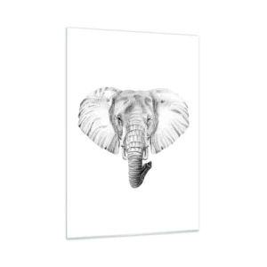 Cuadro sobre vidrio - Impresiones sobre Vidrio - Dibujo en blanco y negro de la cabeza de un elefante sobre un fondo blanco. - 50x70cm - Érase una vez un elefante... - Decoración de pared moderna para salón y dormitorio ARTTOR