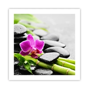 Póster - En equilibrio pacífico - 50x50 cm