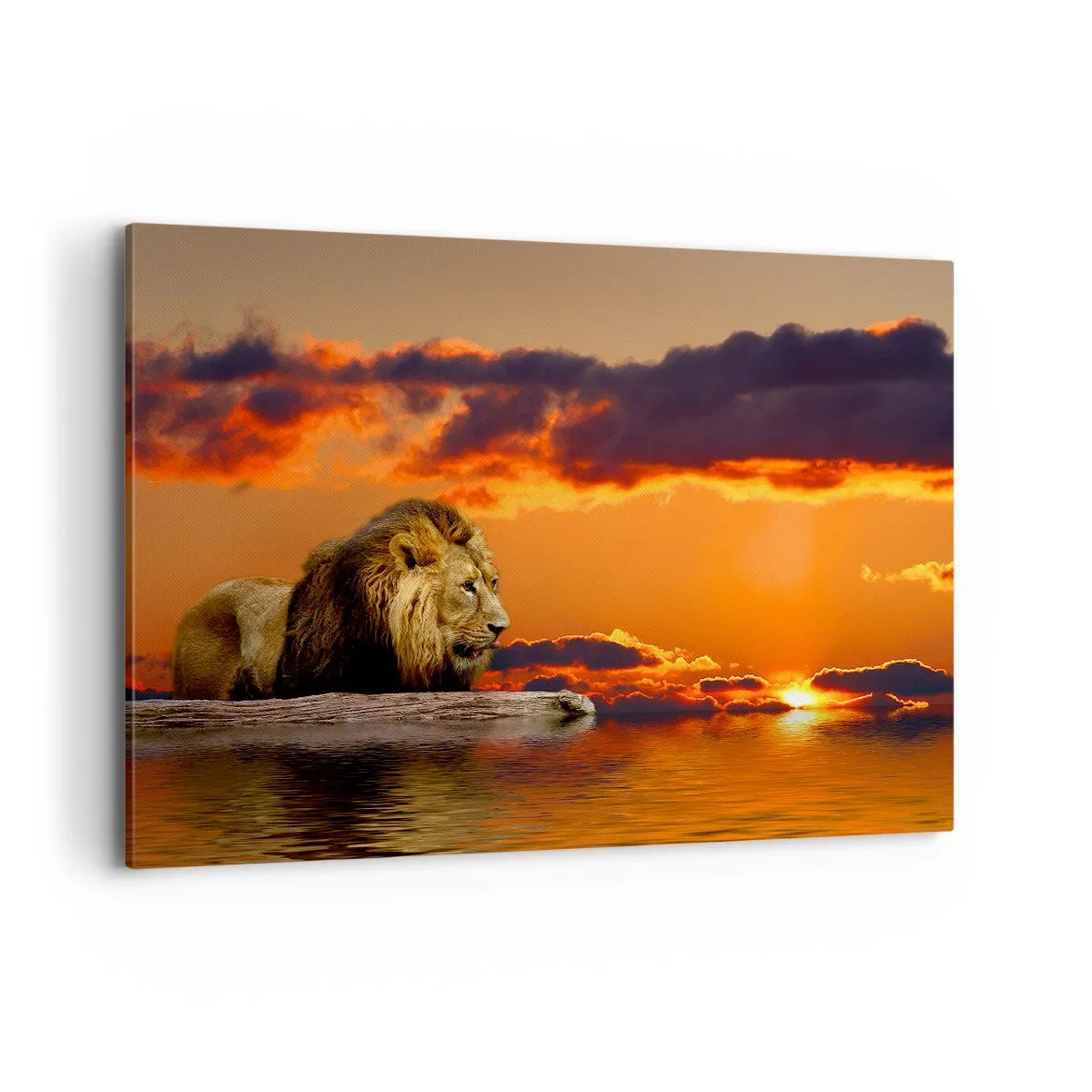 Cuadro sobre lienzo - Impresión de Imagen - Un león descansa junto al agua al atardecer con un cielo dramático. - 120x80cm - Rey de la naturaleza - Decoración de pared moderna para salón y dormitorio ARTTOR