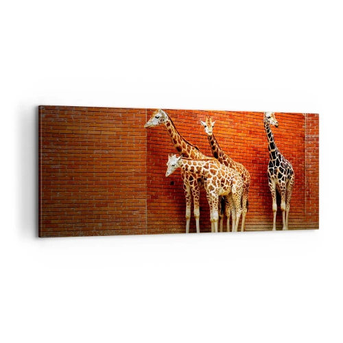 Cuadro sobre lienzo - Impresión de Imagen - ¿Ves alguna acacia? - 100x40 cm